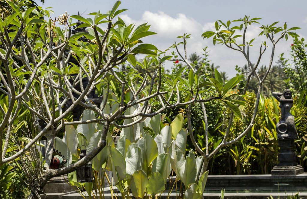 Graha Rusni Villa Ubud Rom bilde