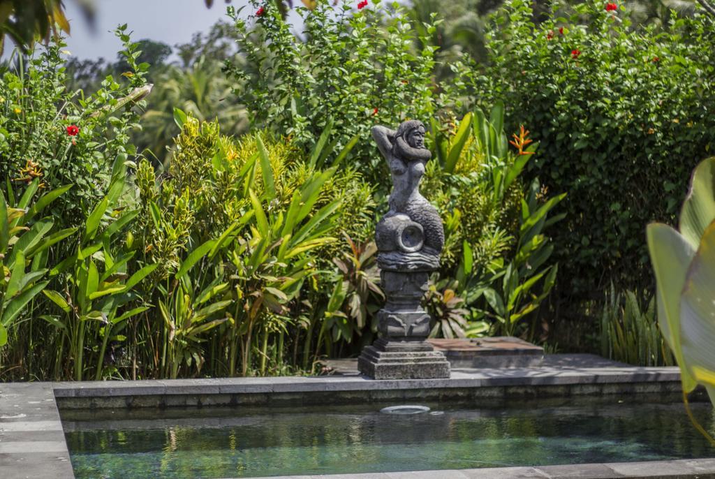 Graha Rusni Villa Ubud Rom bilde